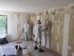 Mold Prevention & Removal